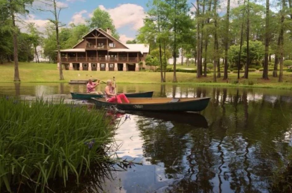 Cypress Lake Recovery-AM-OD