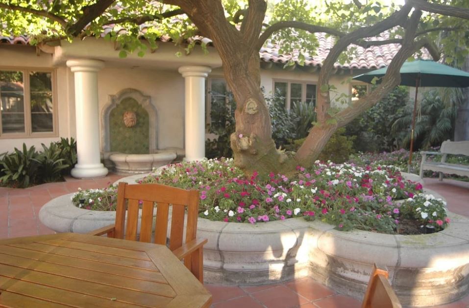 Casa Palmera-AM-OD-002