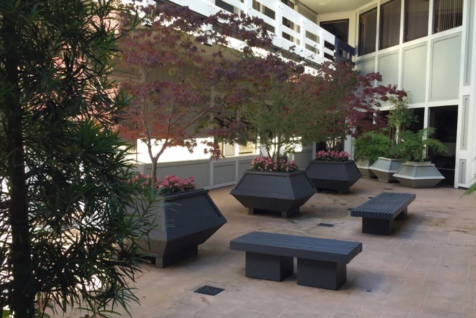 Mind Therapy Clinic-AM-OD