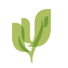 Palo Verde Behavioral Health Logo